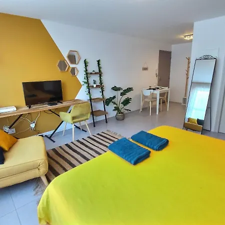 Le Jungle - Roissy Cdg - Parc Asterix - Paris