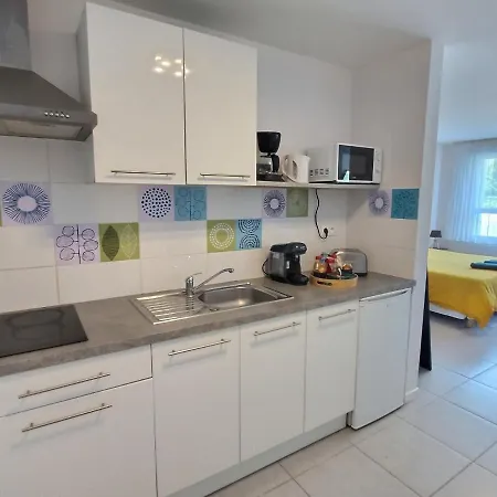 Le Jungle - Roissy Cdg - Parc Asterix - Paris Appartement