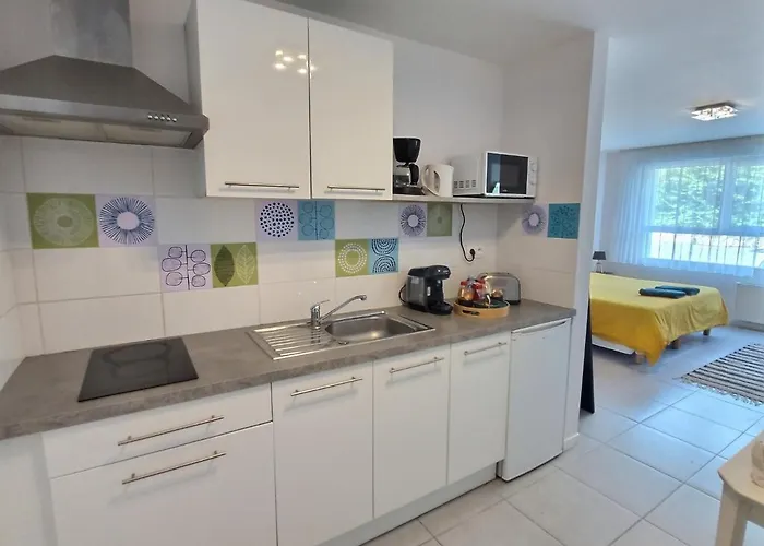Le Jungle - Roissy Cdg - Parc Astérix - Paris Appartement